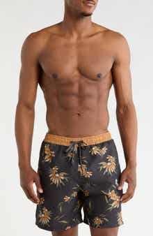 Quiksilver Everyday Water Repellent Coastal Flora Volley 6-Inch Swim Trunks