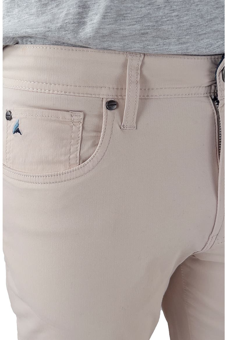 Performance Athletic Fit Pants, Alternate, color, STONE