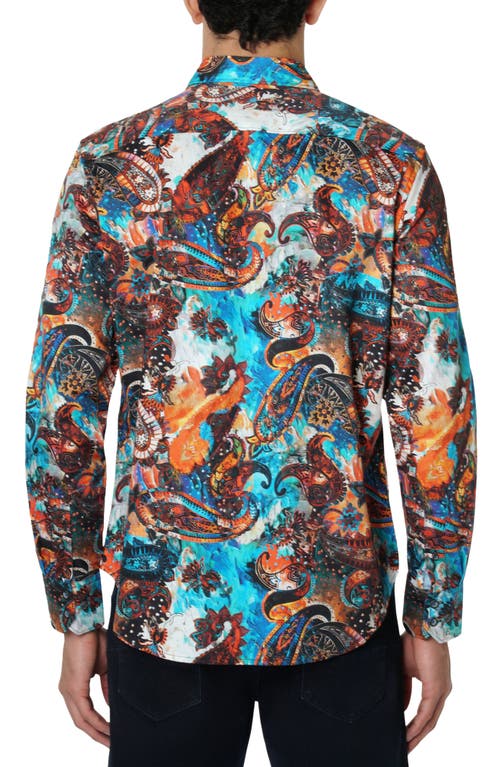 Robert Graham Molnar Long Sleeve Button Down Shirt In Multi