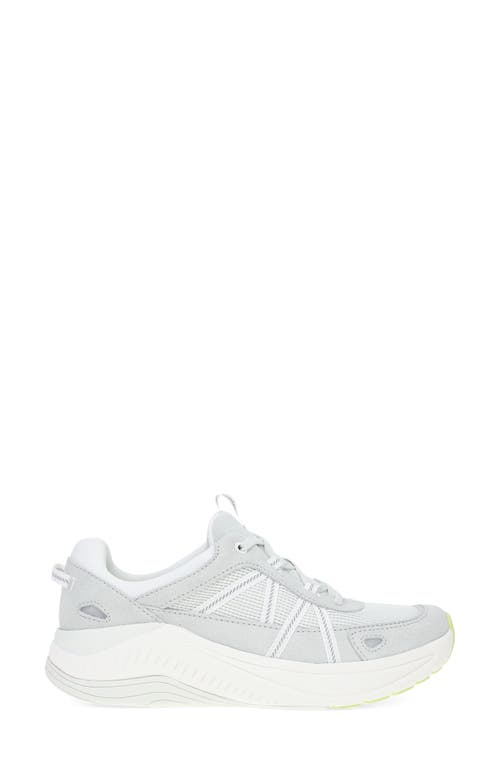 Dansko Poppy Sneaker In Grey Suede