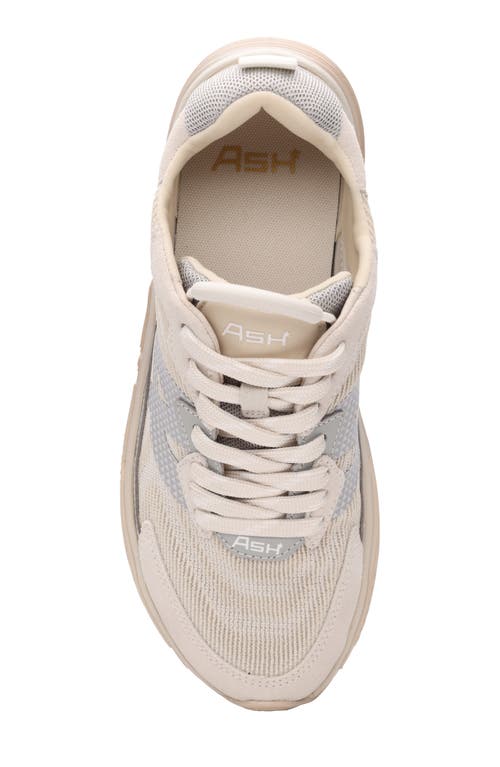 Ash Eagle Platform Sneaker In White