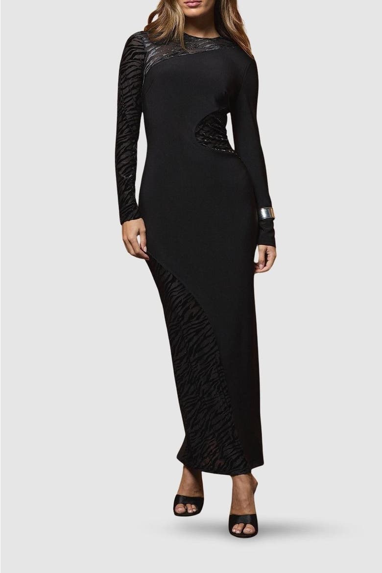 Muse Zebra Mesh Maxi Dress, Alternate, color, Black
