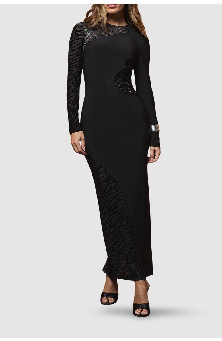 Coast Muse Zebra Mesh Maxi Dress, Alternate, color, Black