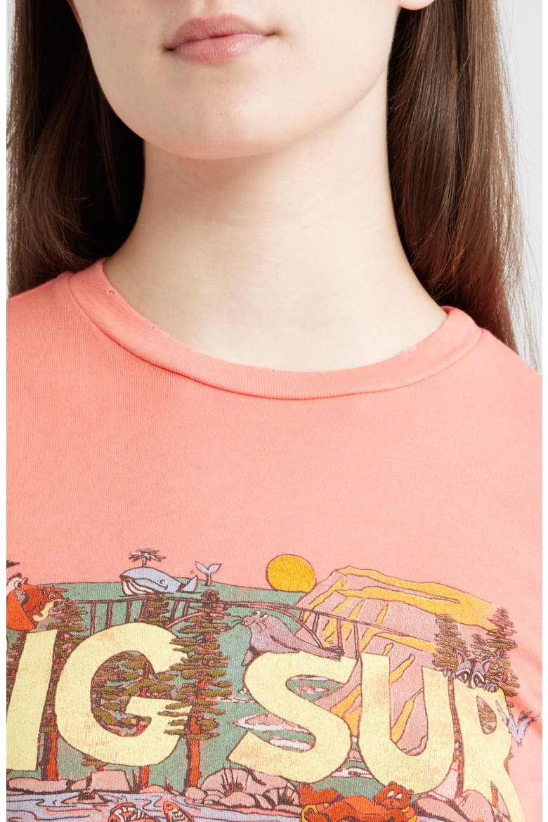 Big Sur Graphic T-Shirt, Alternate, color, BLOSSOM