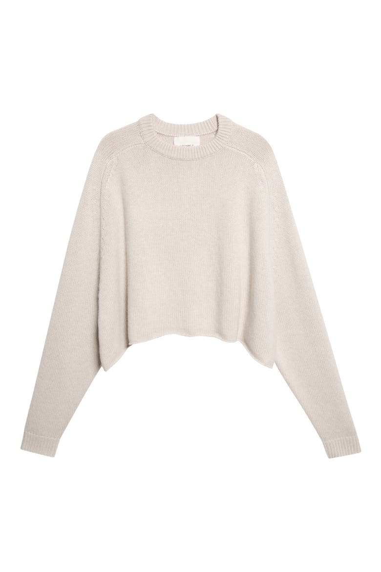 Karine Oversize Raglan Sleeve Cashmere Sweater, Alternate, color, OYSTER