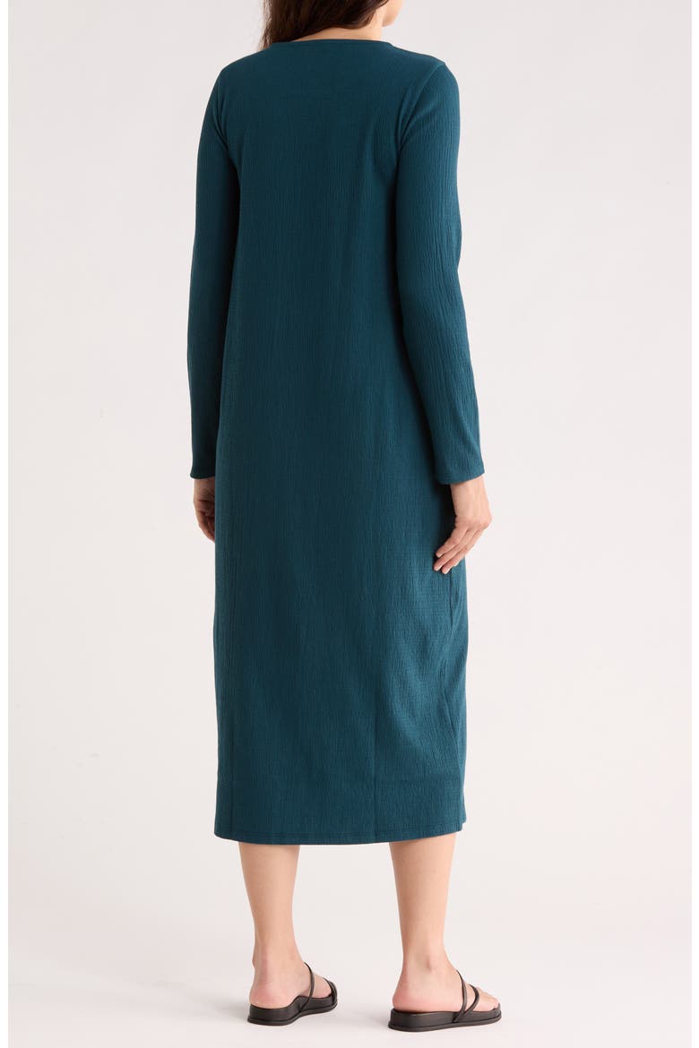 Long Sleeve Cotton Blend Jersey Dress, Alternate, color, ROUND NECK DRESS