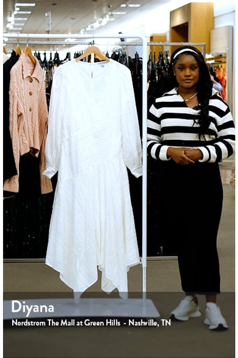 Aviana Broderie Long Sleeve Dress video