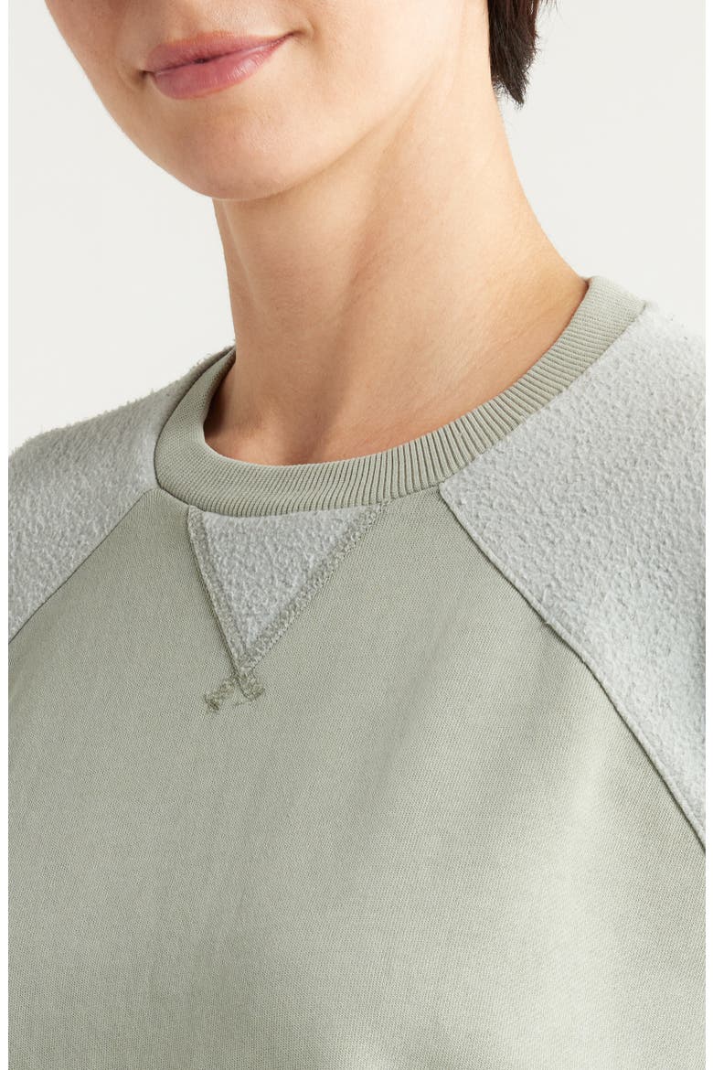 Cloud Nine Mixed Media Cotton Blend Crop Sweatshirt, Alternate, color, SHADOW