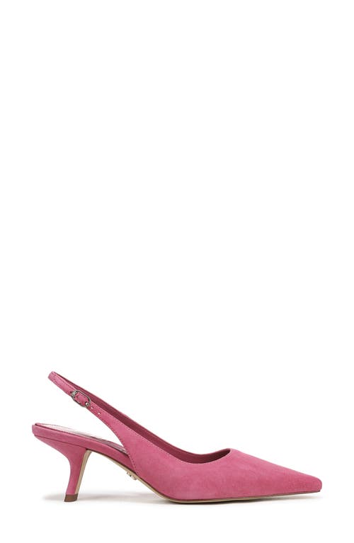 Sam Edelman Bianka Slingback Kitten Heels In Pink
