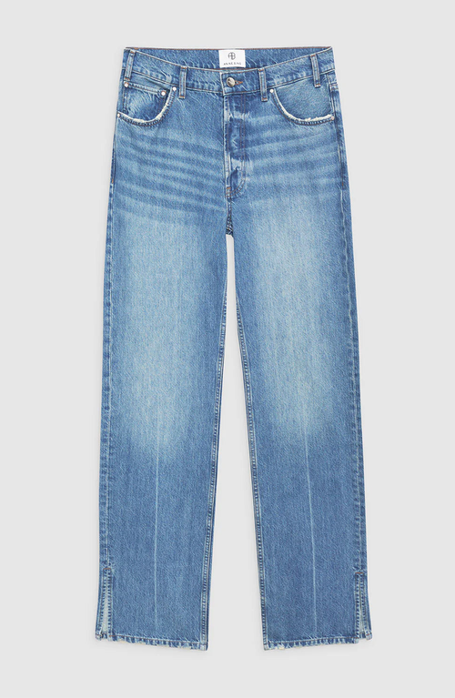 Anine Bing Roy Jean In Blue