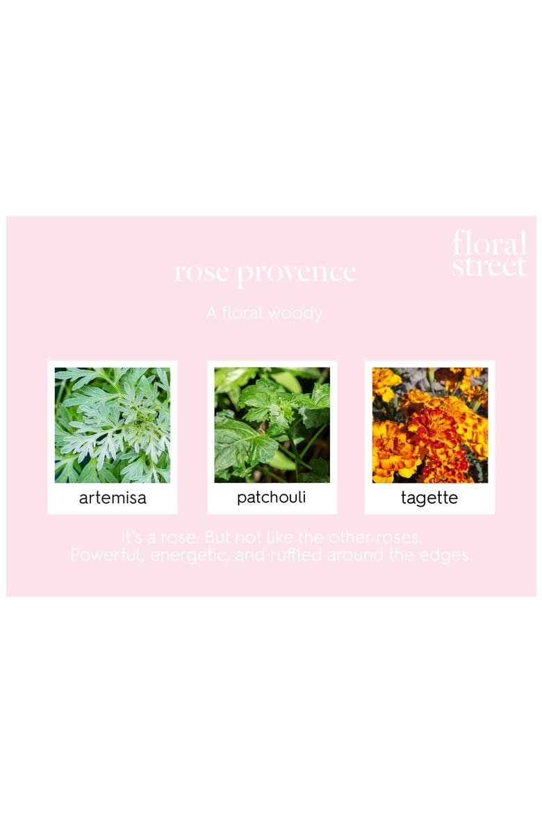 Rose Provence Scented Candle (Nordstrom Exclusive), Alternate, color, NO COLOR