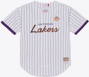 Mitchell & Ness Men's Mitchell & Ness White Los Angeles Lakers Head Coach Pinstripe Mesh Full-Button Baseball Jersey