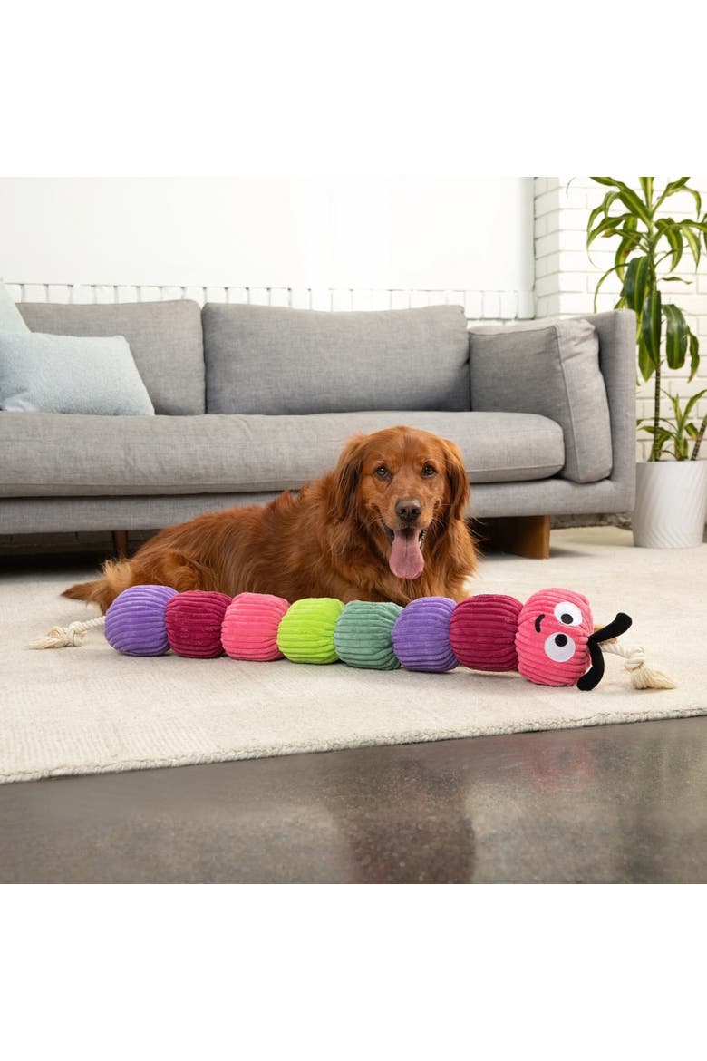 Rope Caterpillar, 45 Inch Dog Toy, Alternate, color, Multicolored
