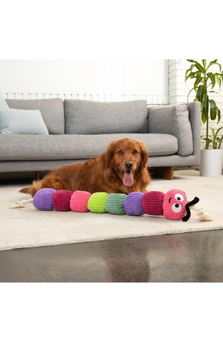 Patchwork Pet Rope Caterpillar, 45 Inch Dog Toy, Alternate, color,