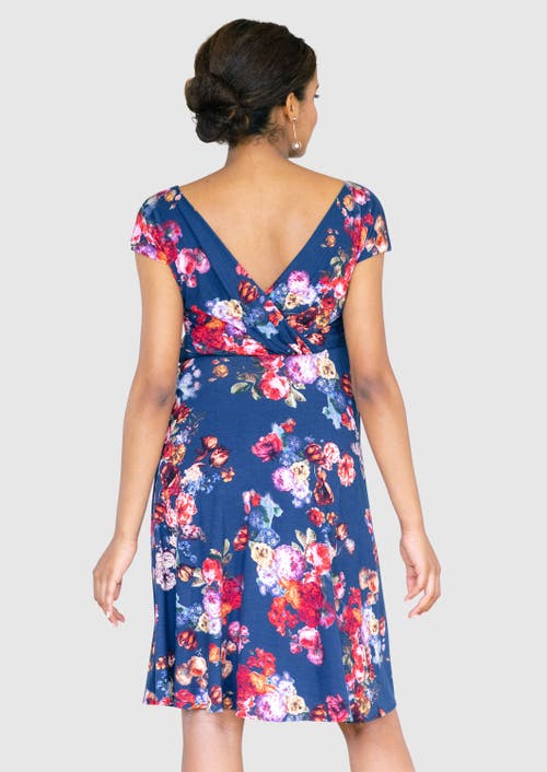Tiffany Rose Maternity Alessandra Maternity Dress In Blue