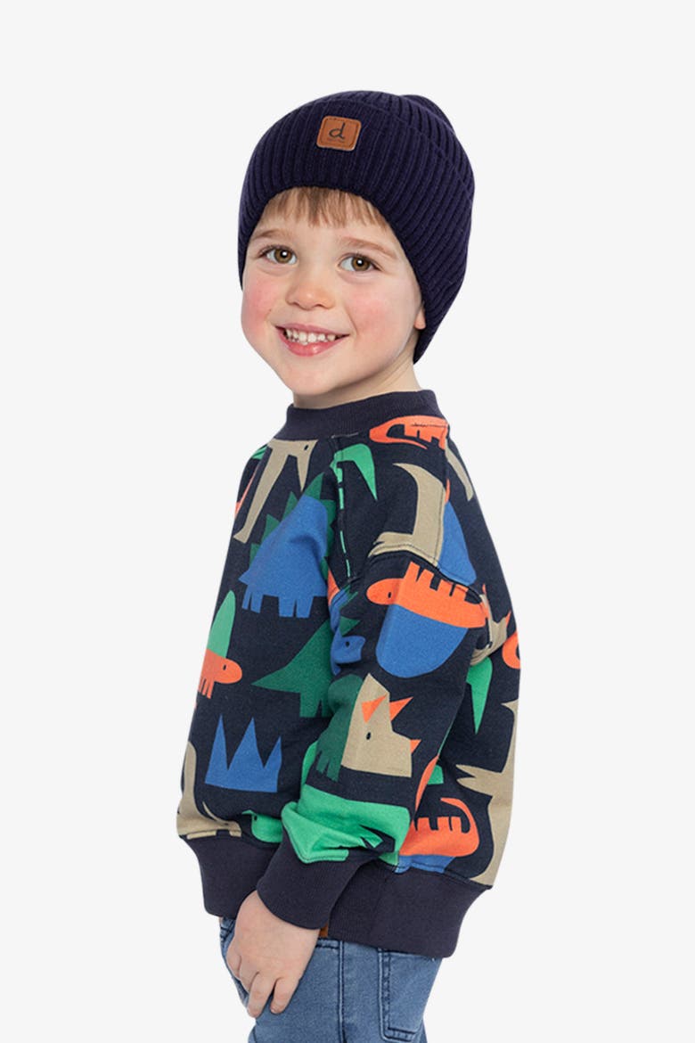 Dinosaur Ribbed Cuffs Fleece Sweatshirt, Alternate, color, Blue Dinosaur Print