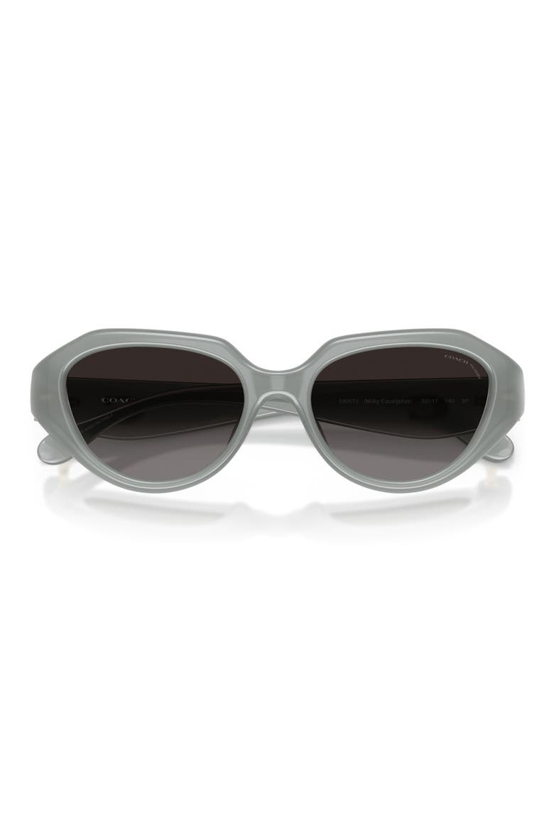 52mm Gradient Polarized Irregular Sunglasses, Alternate, color, MILKY EUCALYPTUS / GREY