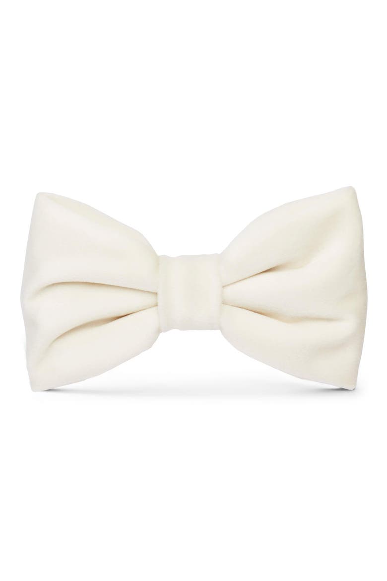 Velvet Dog Bow Tie, Main, color, IVORY