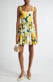 Dolce&Gabbana Rose Print Corset Bodice Minidress