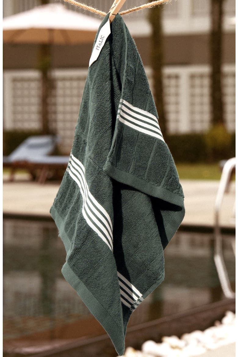 Nautilus 2-Piece Washcloth Set, Alternate, color, Verdant & Ecru