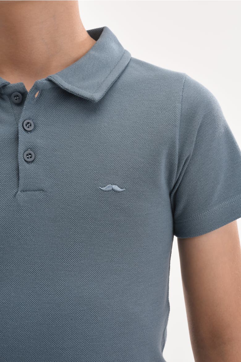 Solid Polo Shirt, Alternate, color, Blue