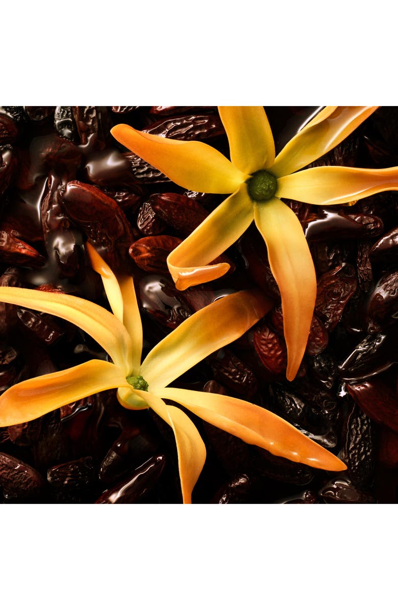 Gucci The Alchemist's Garden Ylang Ambrato Eau de Parfum, Alternate, color, 