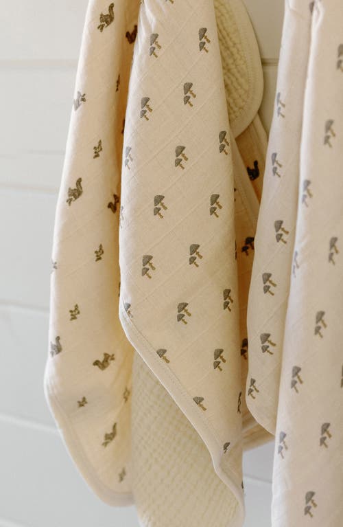 Oilo Assorted 2-pack Organic Cotton Muslin Bibs In Eggshell
