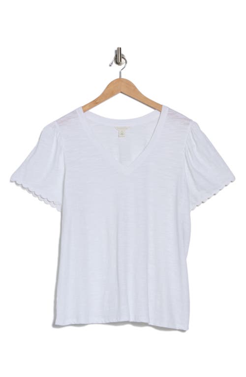 CASLON CASLON® SCALLOP TRIM T-SHIRT 