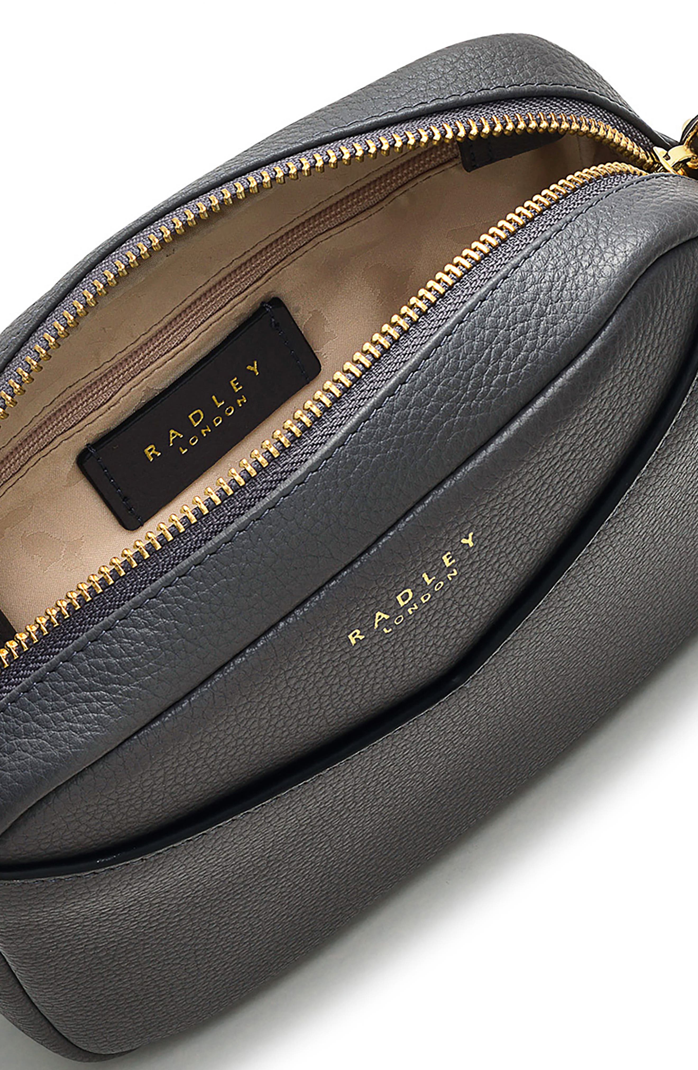 Radley Gordon Road Mini Crossbody Bag, Alternate, color, 