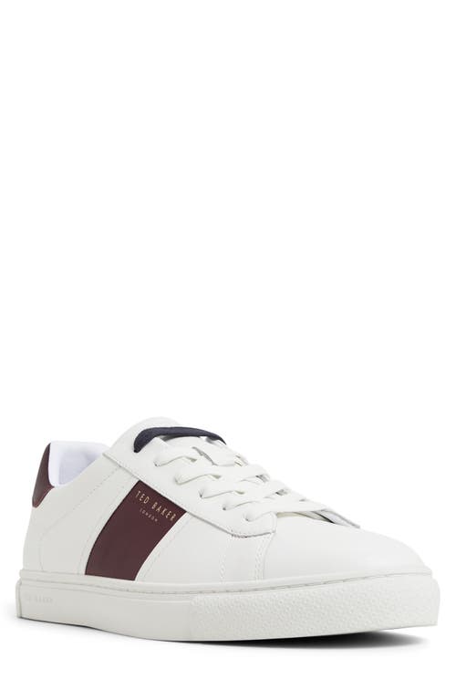 Ted Baker Bradley Sneaker In White