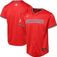 Nike Youth Red Cleveland Guardians Alternate 2 Limited Jersey
