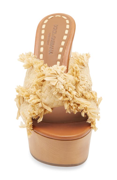 Dolce & Gabbana Dolce&gabbana Raffia Platform Sandal In Brown