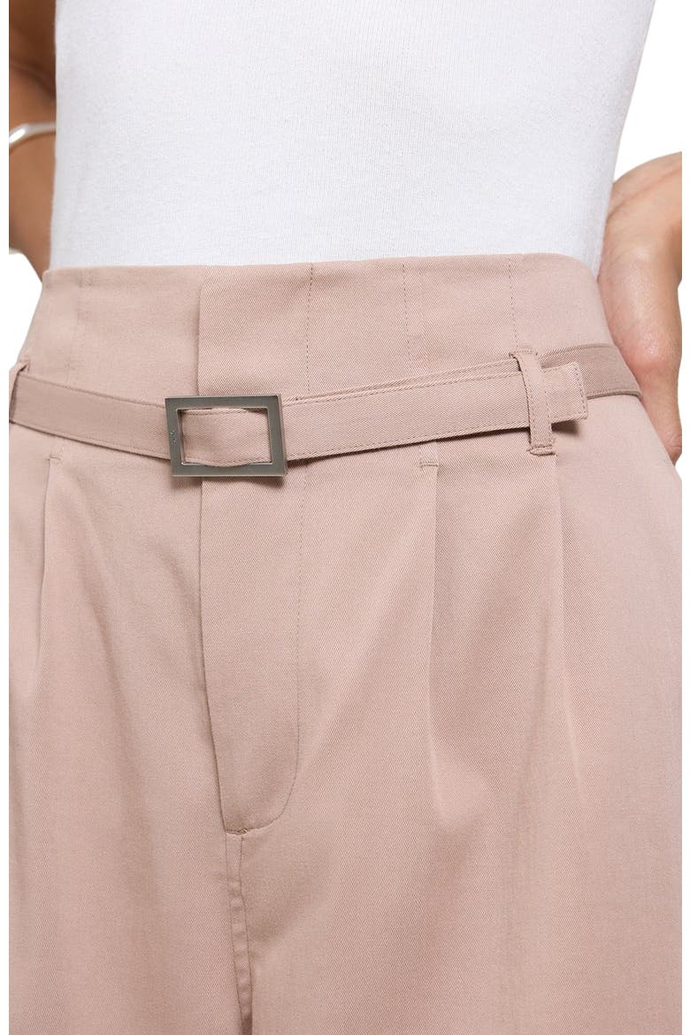 Lyocell Paperbag Trouser, Alternate, color, WARM TAUPE
