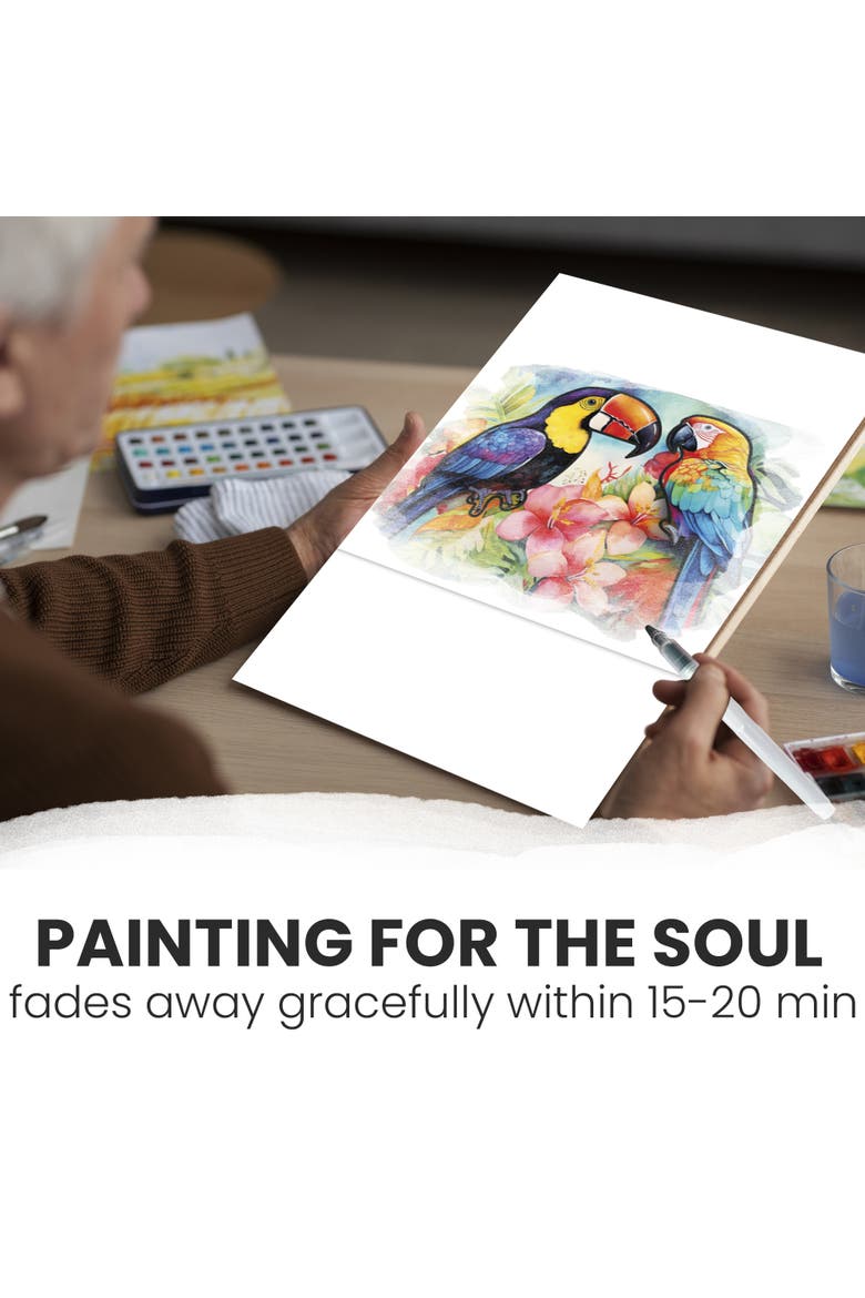 Reusable Water Painting Activity Set for Seniors - Dementia-Friendly, Alternate, color, Tropics