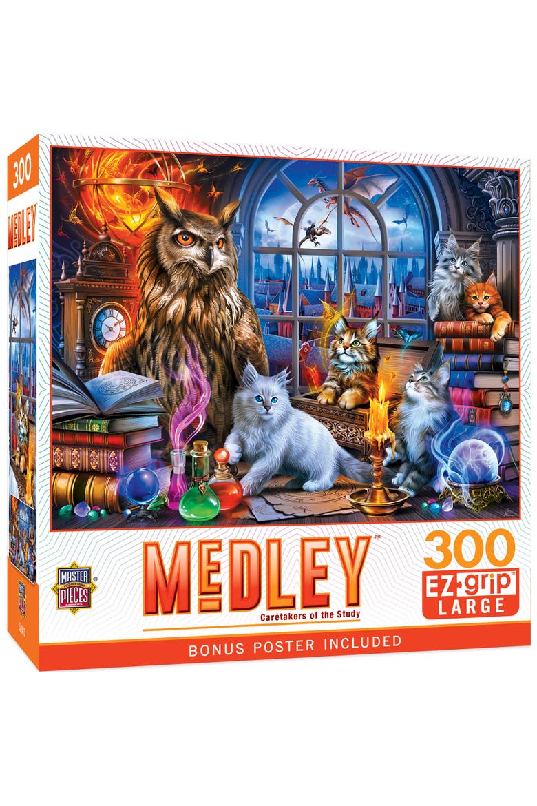 Caretakers of the Study 300 Piece Puzzle, Main, color, Multicolor