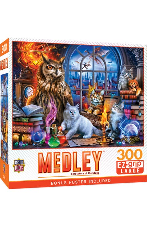 Caretakers of the Study 300 Piece Puzzle
