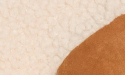 Blanknyc High Pile Fleece Trim Faux Suede Jacket In Brown