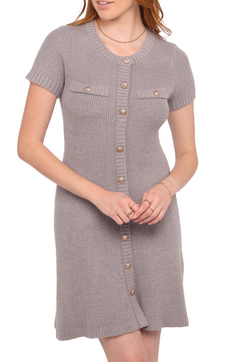 Petal & Pup Jaxon Mini Sweater Dress, Main, color, Grey