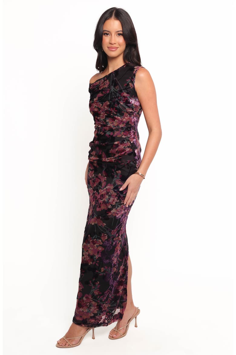 Genevieve Burnout Maxi Dress, Alternate, color, FLORAL