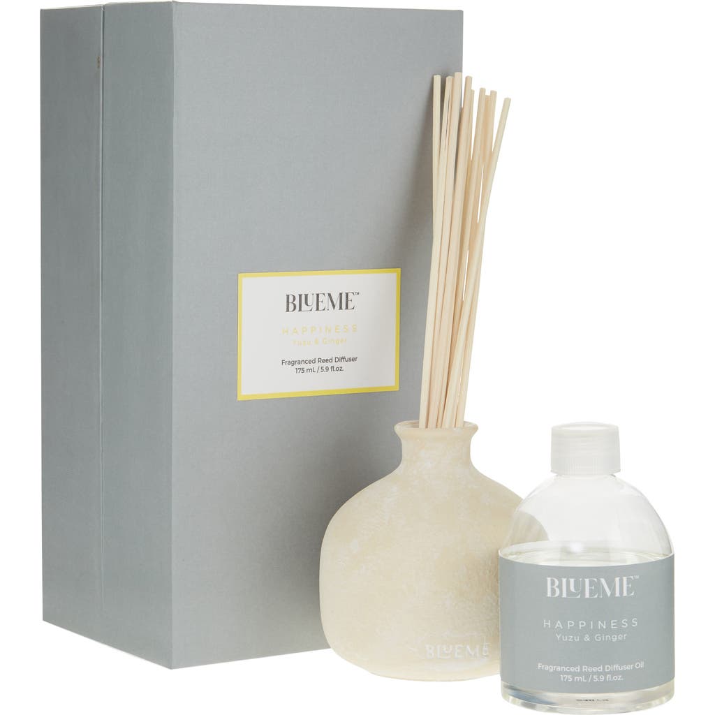 Blueme Happiness Small Ceramic Reed Diffuser In Transparent