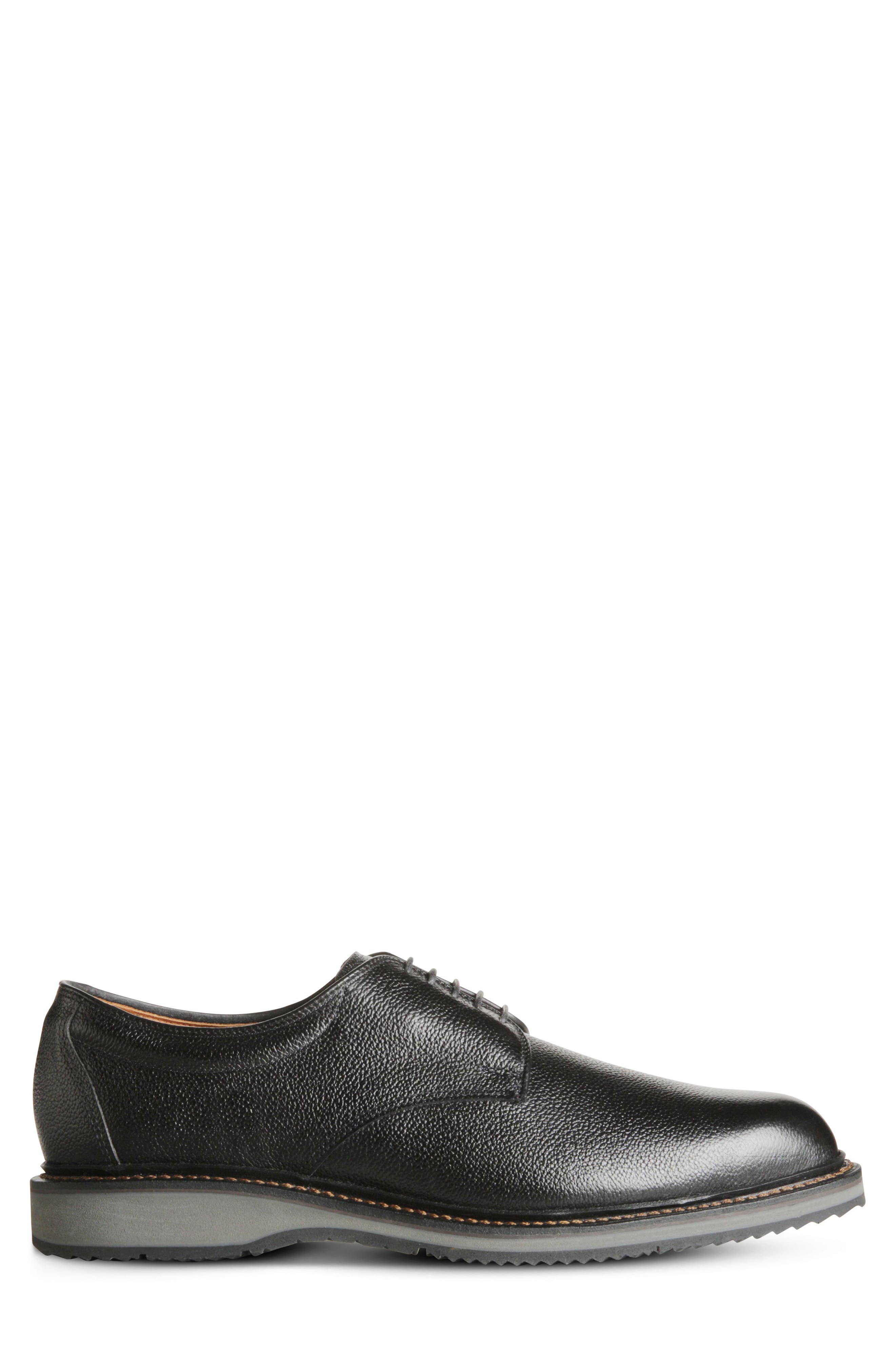 Allen Edmonds Wanderer Plain Toe Oxford, Alternate, color, 