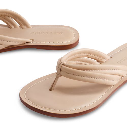 Bernardo Footwear Miami Thong Sandal In Blush