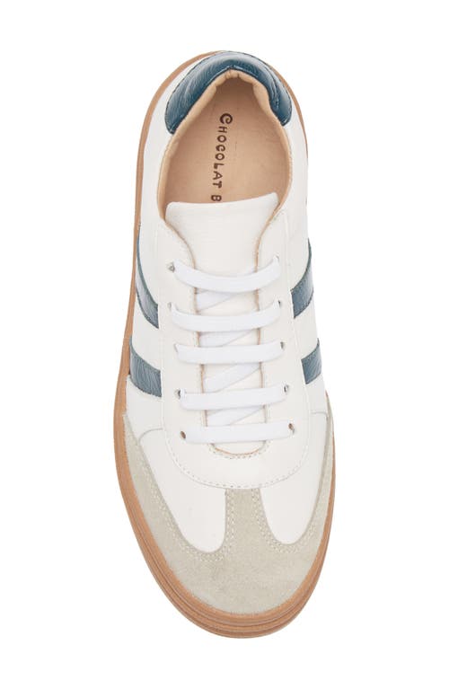Chocolat Blu Valox Sneaker In Multi