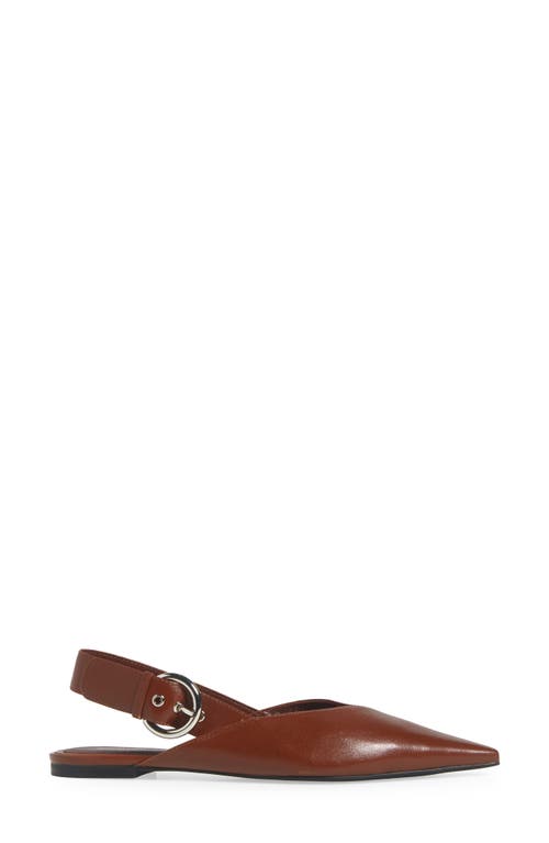 JEFFREY CAMPBELL JEFFREY CAMPBELL SCONE SLINGBACK POINTED TOE FLAT
