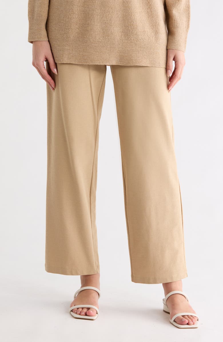 Eileen Fisher Straight Pants, Main, color, Biscuit