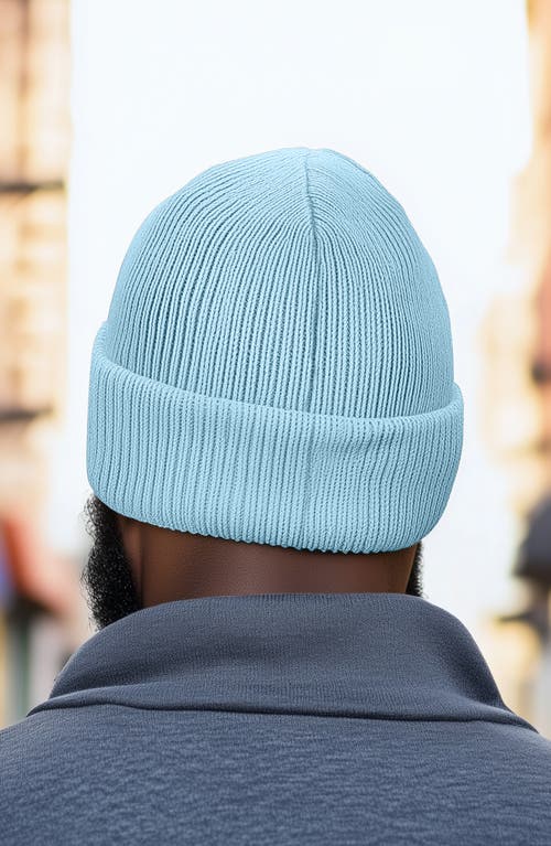 Dalix Pigeon Beanie Cap In Blue