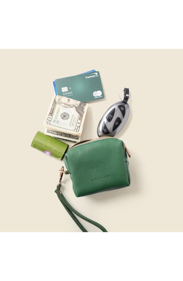 Casupo Mini Zipper Bag with Wristlet, Alternate, color, Green