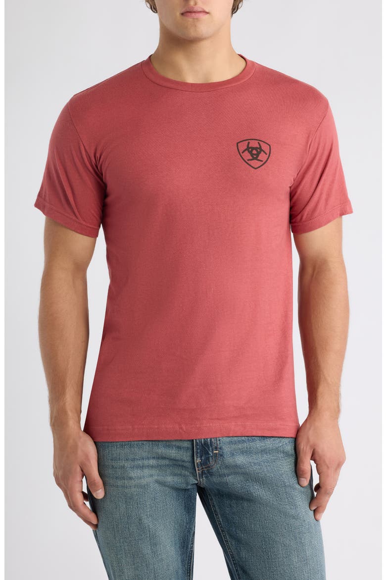 Banner Badge Graphic T-Shirt, Main, color, RED CLAY HEATHER