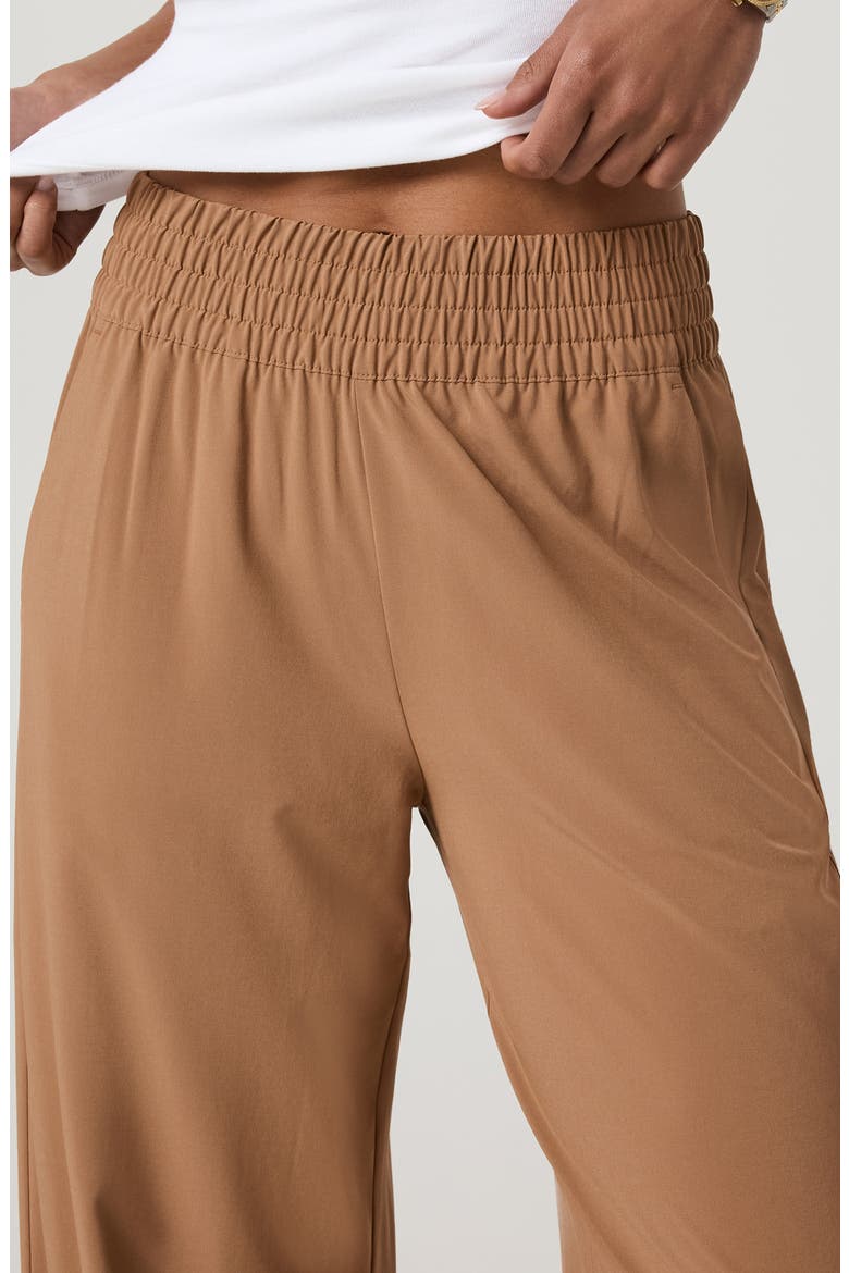 Villa Wide Leg Pants, Alternate, color, TOBACCO BROWN