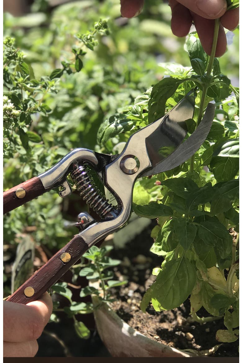 Thai Kitchen & Garden Shears, Alternate, color, SILVER